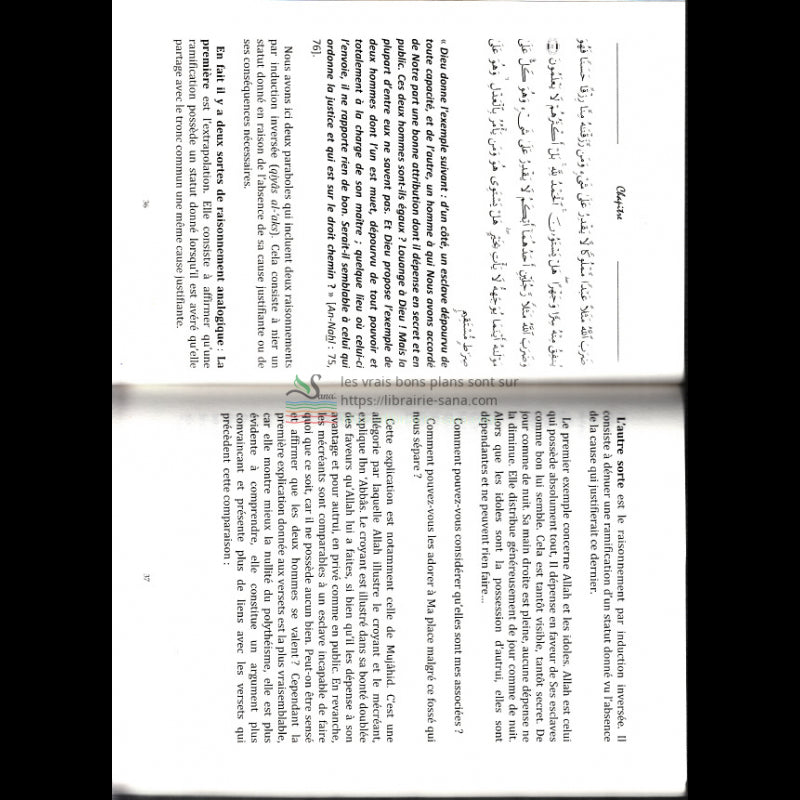 L’explication des paraboles citées dans le Noble Coran