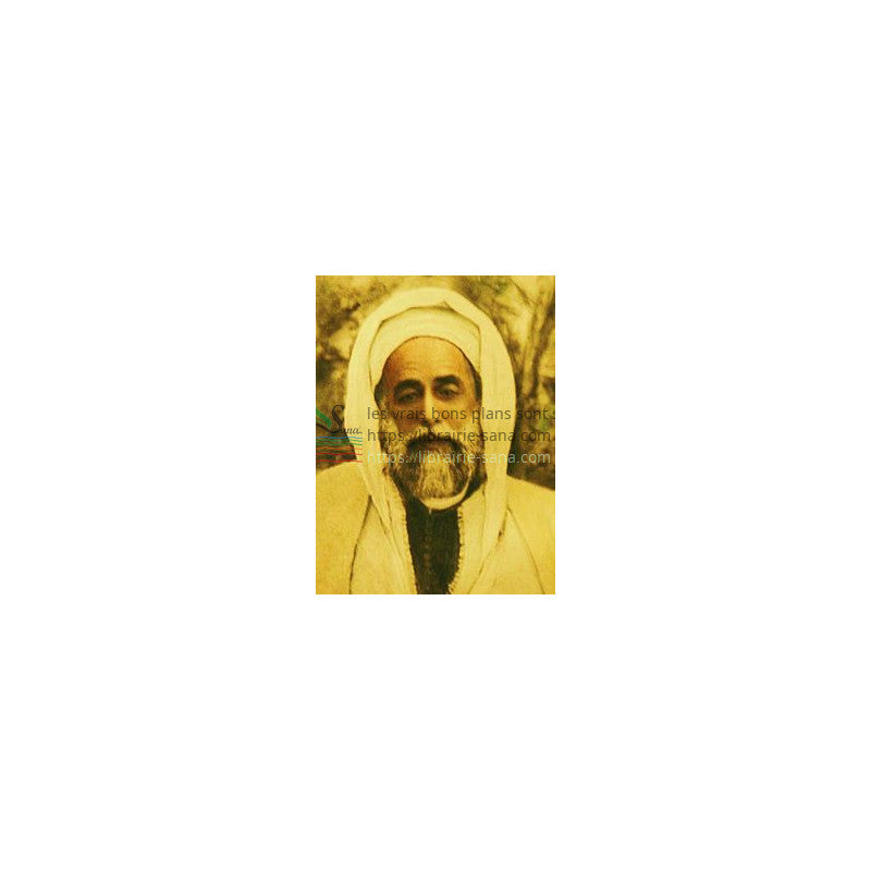 UN SAINT SOUFI DU XXE SIECLE - LE CHEIKH AHMAD AL-'ALAWI d'après MARTIN LINGS